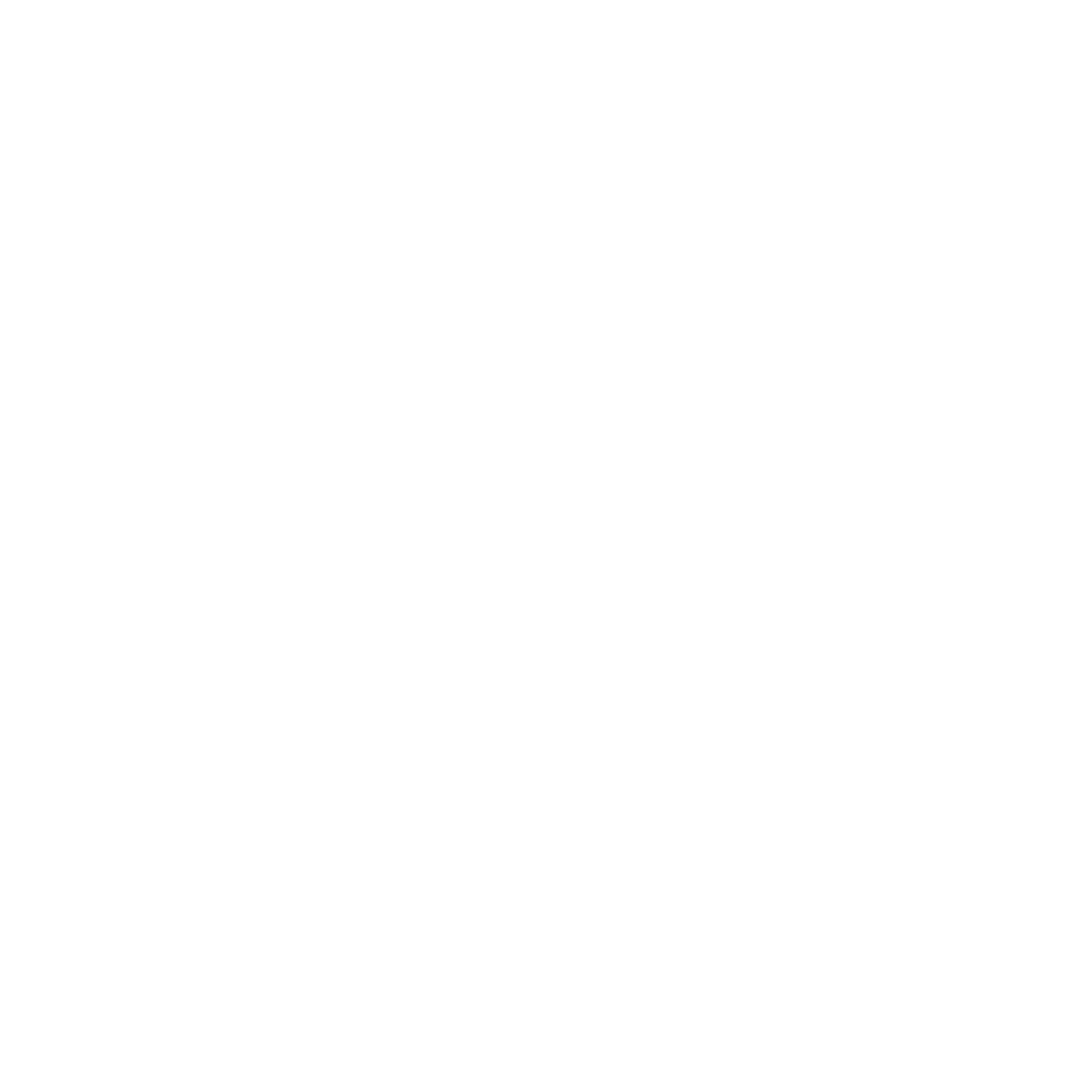 skycap